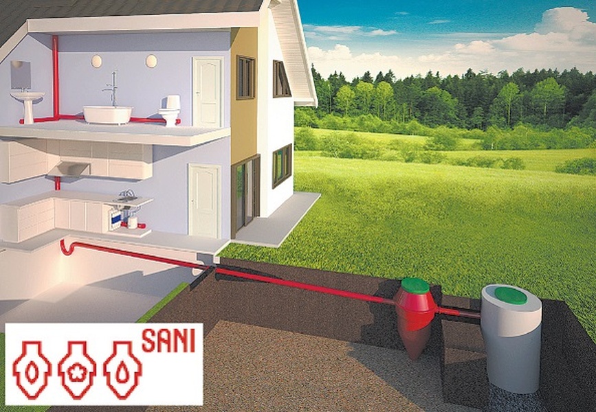 Чистая сила SANI